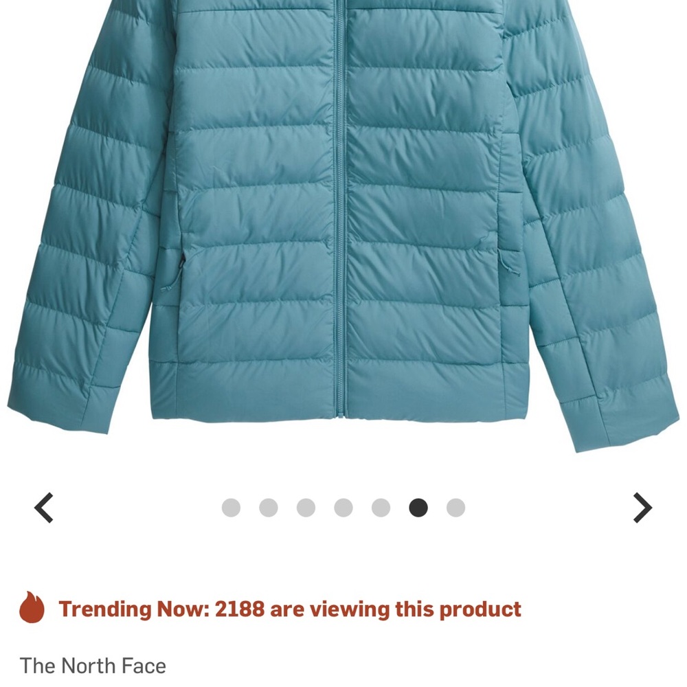 The North Face Men's Aqua Puffer Jacket - Picture 4 of 8